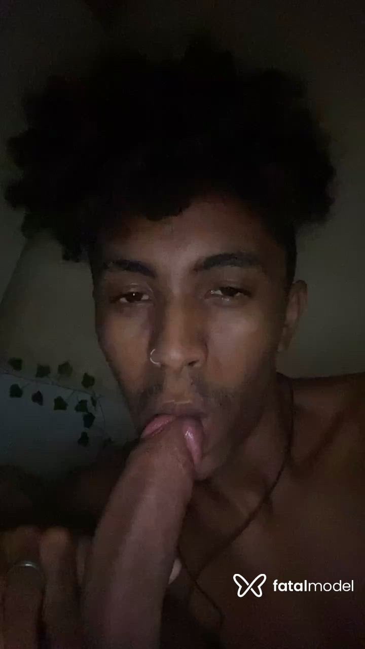 Acompanhante homem morena (o) de olhos pretos - Pedro Carvalho