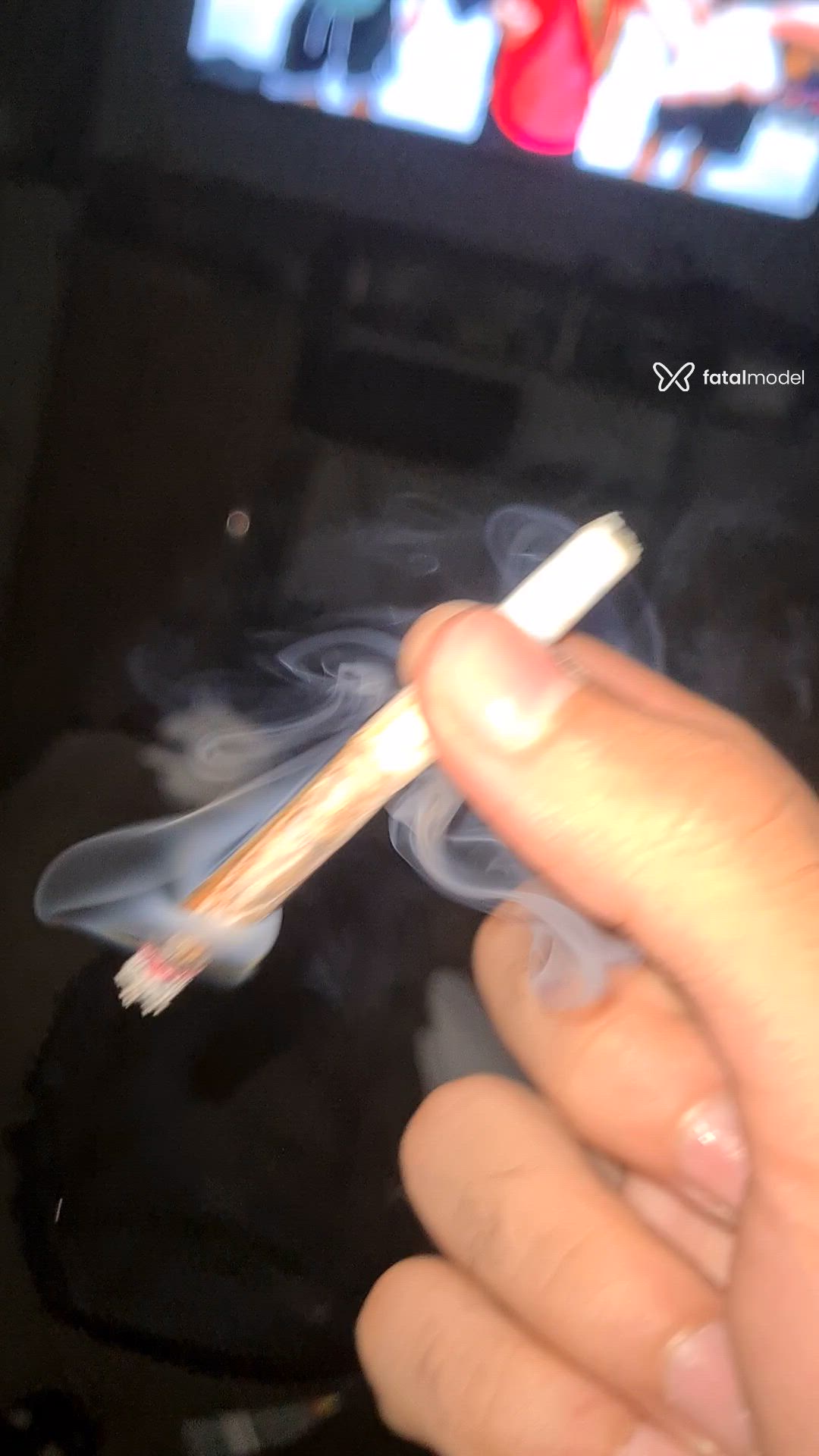 Vídeo 1