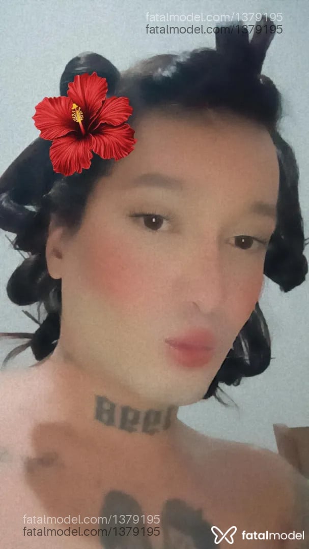 Acompanhante travesti morena (o) de olhos castanhos - Arya