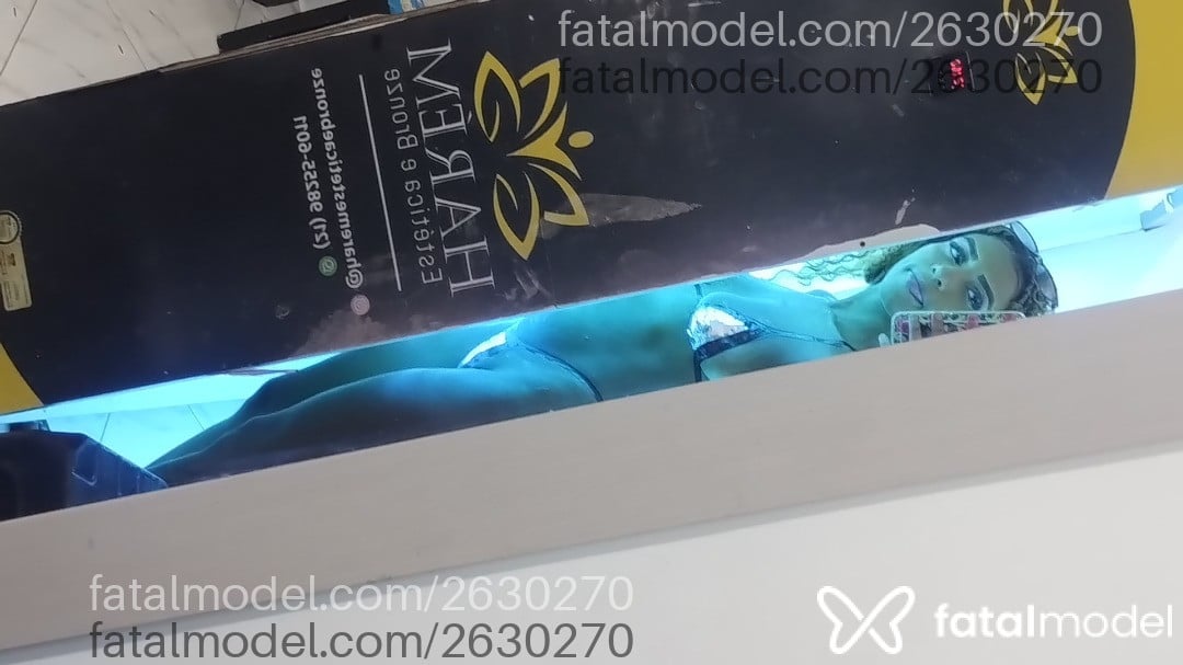 Imagem 1