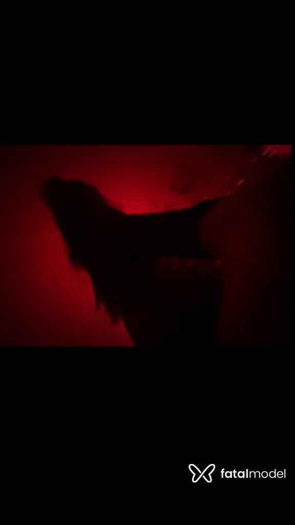 Vídeo 1