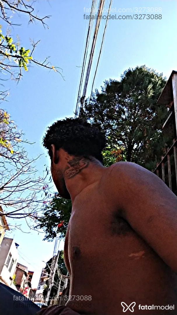 Imagem 3