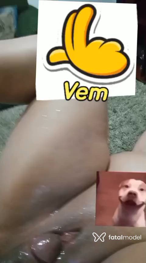 Vídeo 2