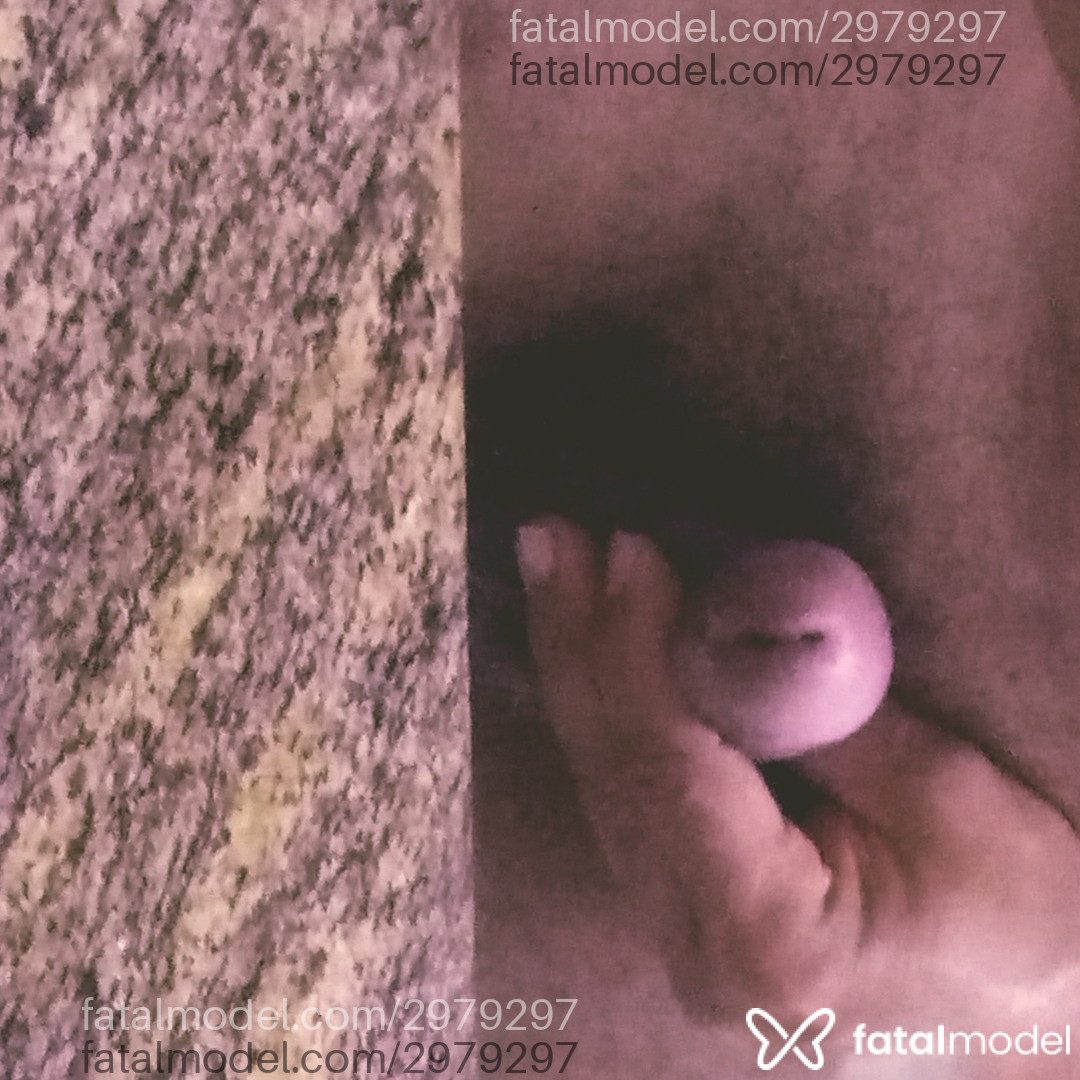 Imagem 5