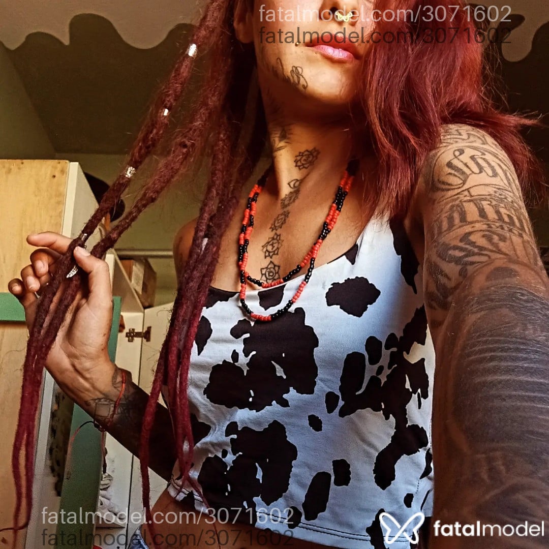 Imagem 3