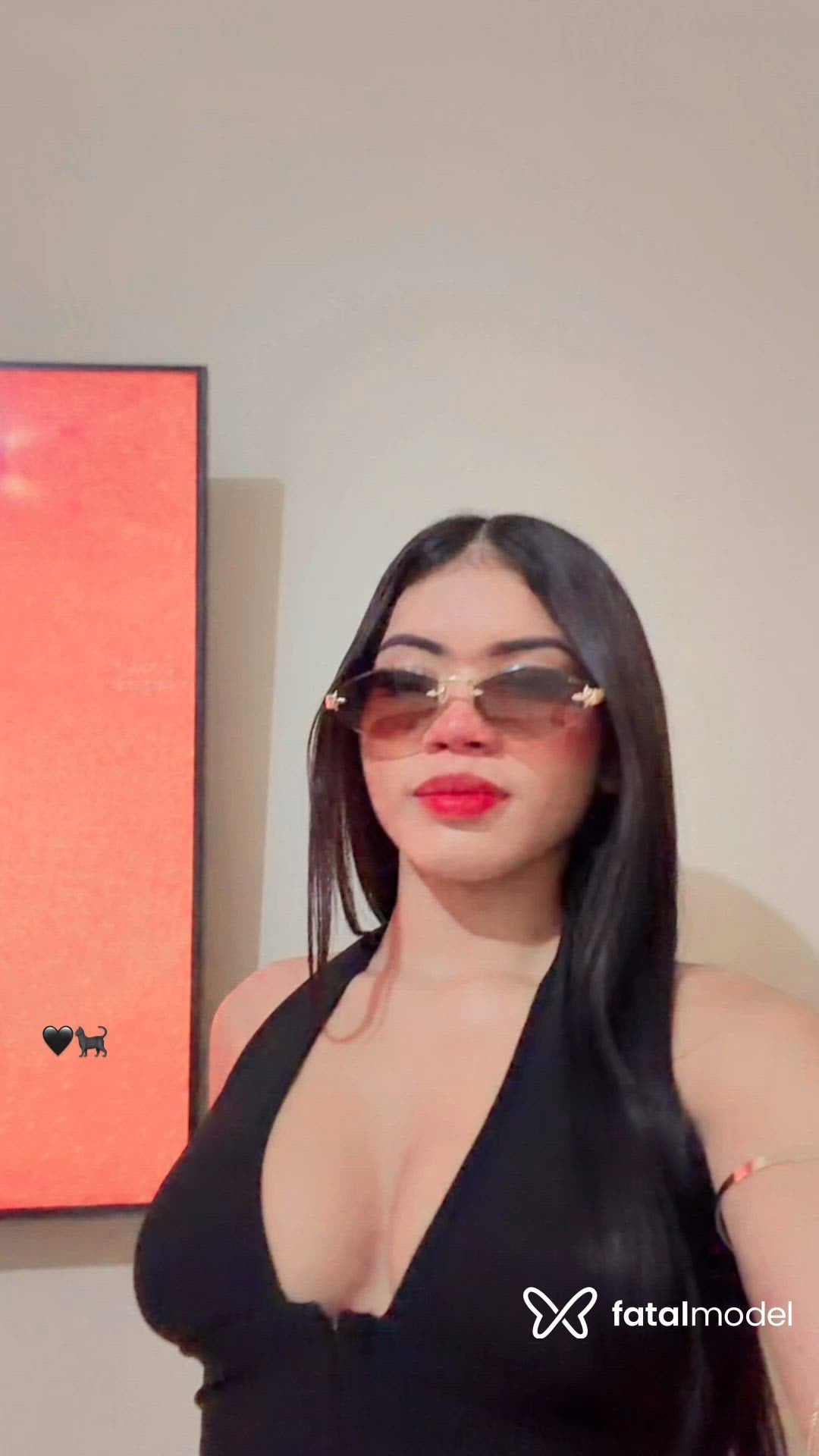Vídeo 2
