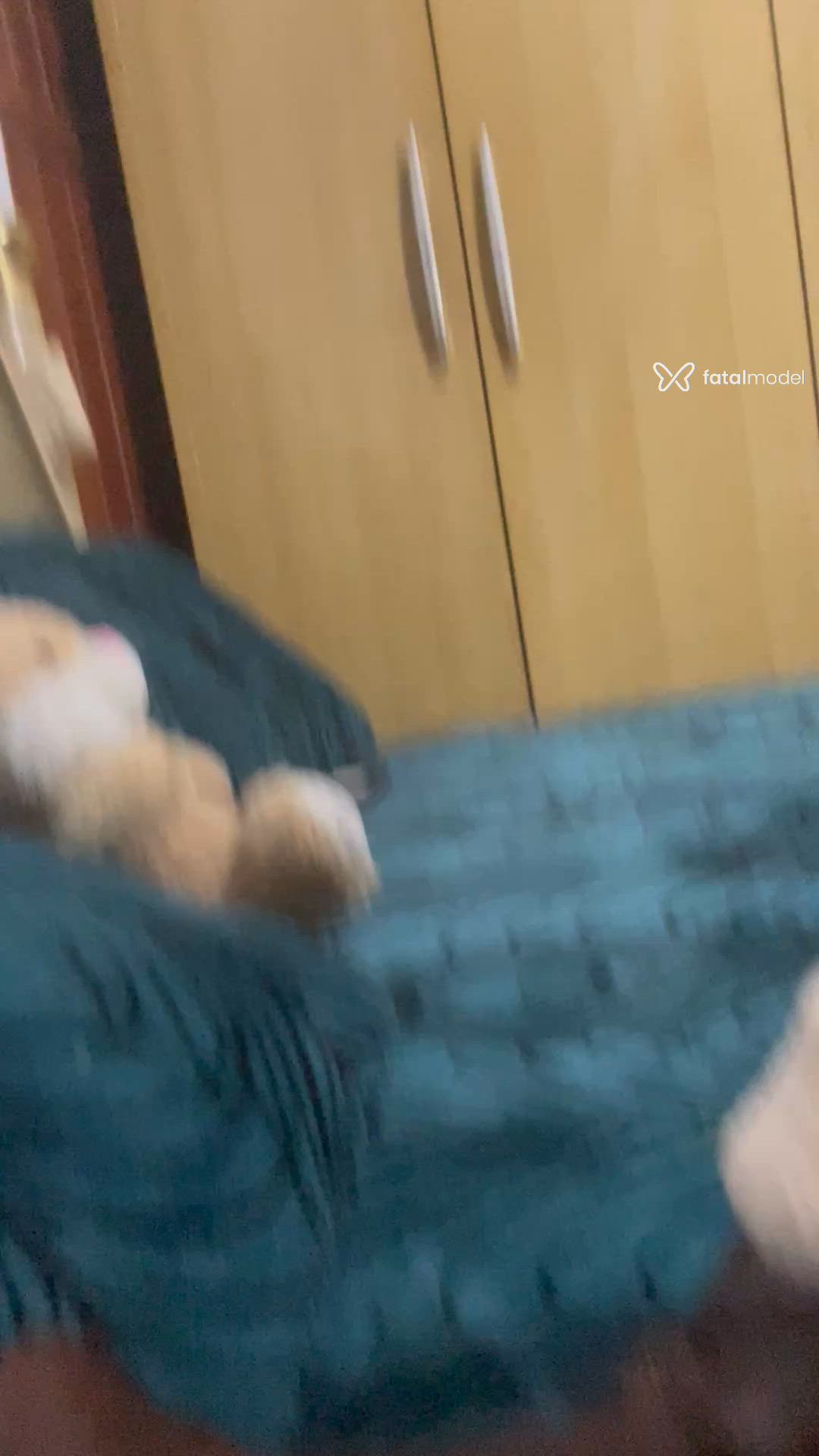 Vídeo 8