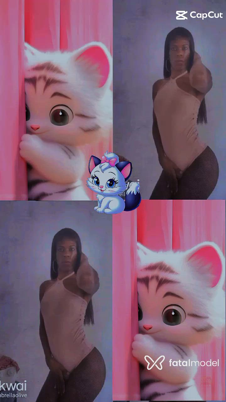 Vídeo 6