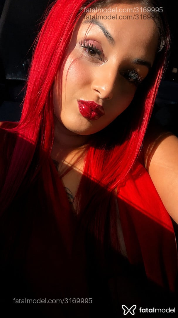 Imagem 5