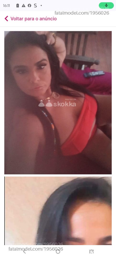 Imagem 8