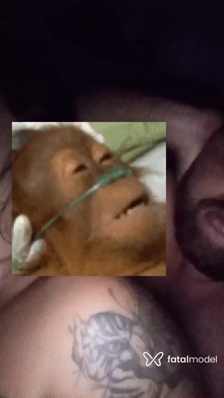 Vídeo 4