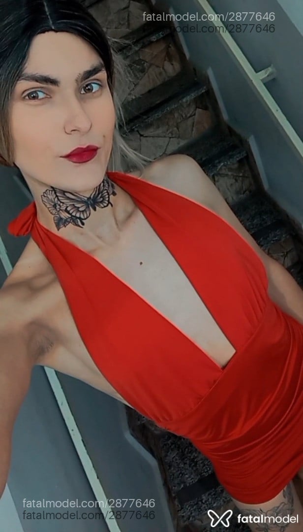 Imagem 3