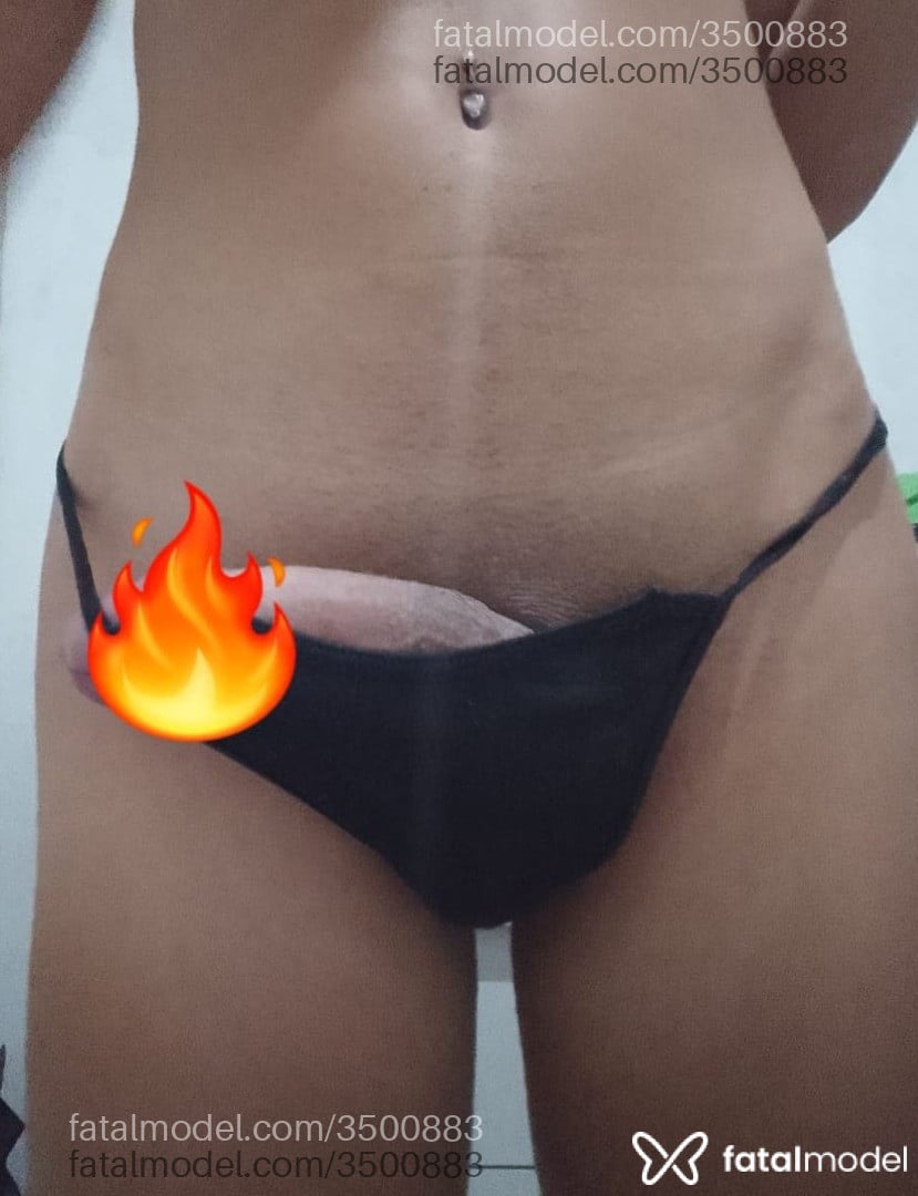 Imagem 7