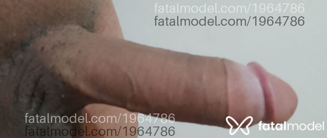Imagem 6