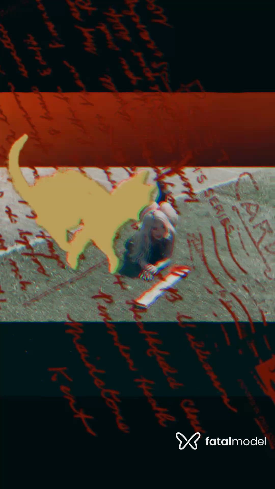 Vídeo 8