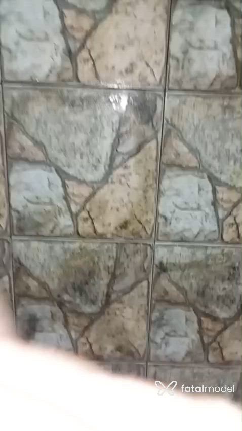 Vídeo 1