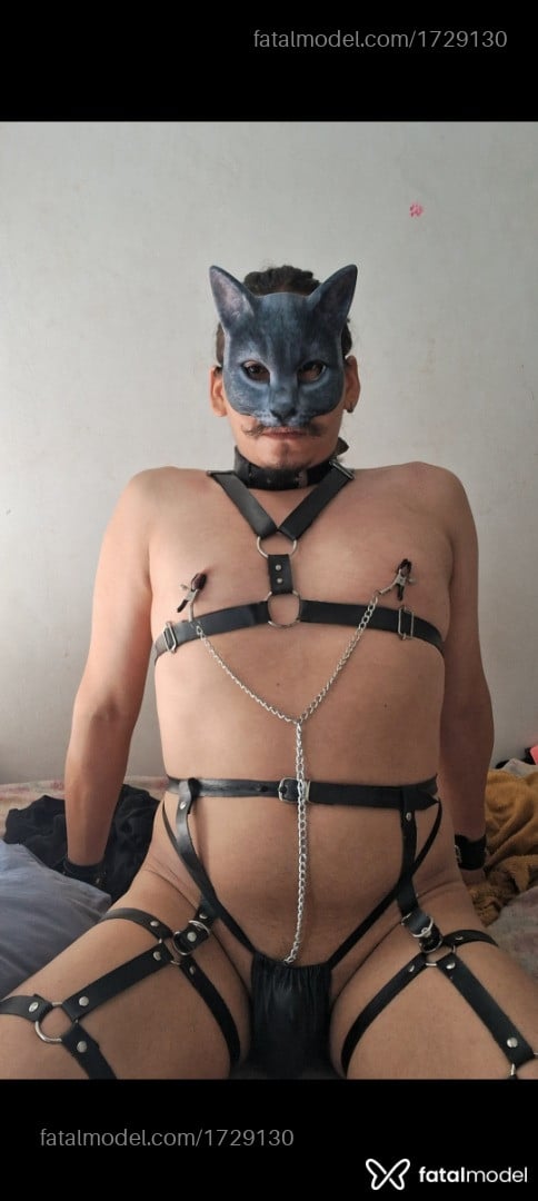 Acompanhante homem morena (o) de olhos castanhos - Matarazzo