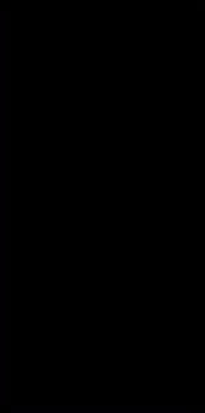Vídeo 1