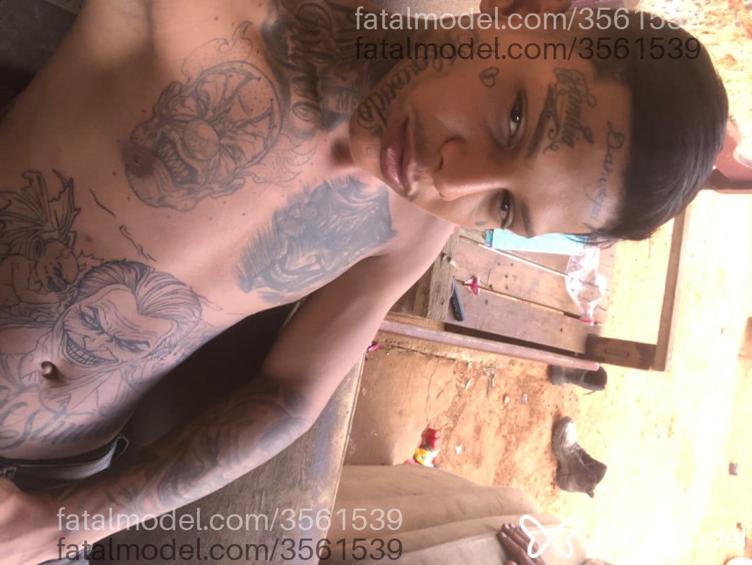 Imagem 5