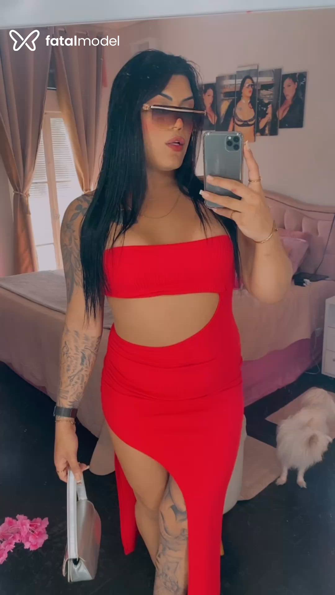 Acompanhante mulher trans morena (o) de olhos castanhos - Jamilly Coelho