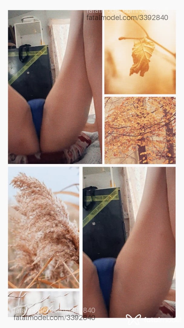 Imagem 5