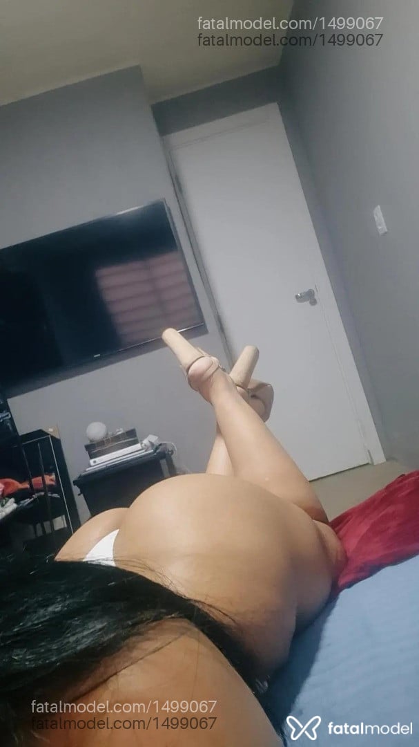 Amanda acompanhante em Porto Alegre — foto 3