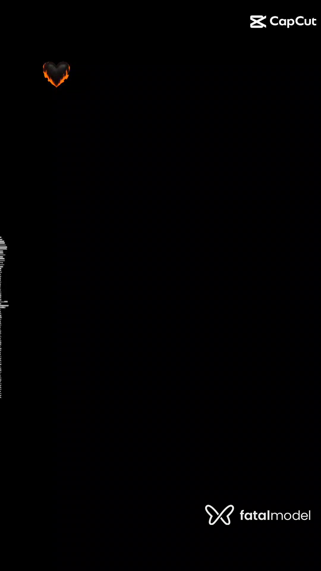 Vídeo 12