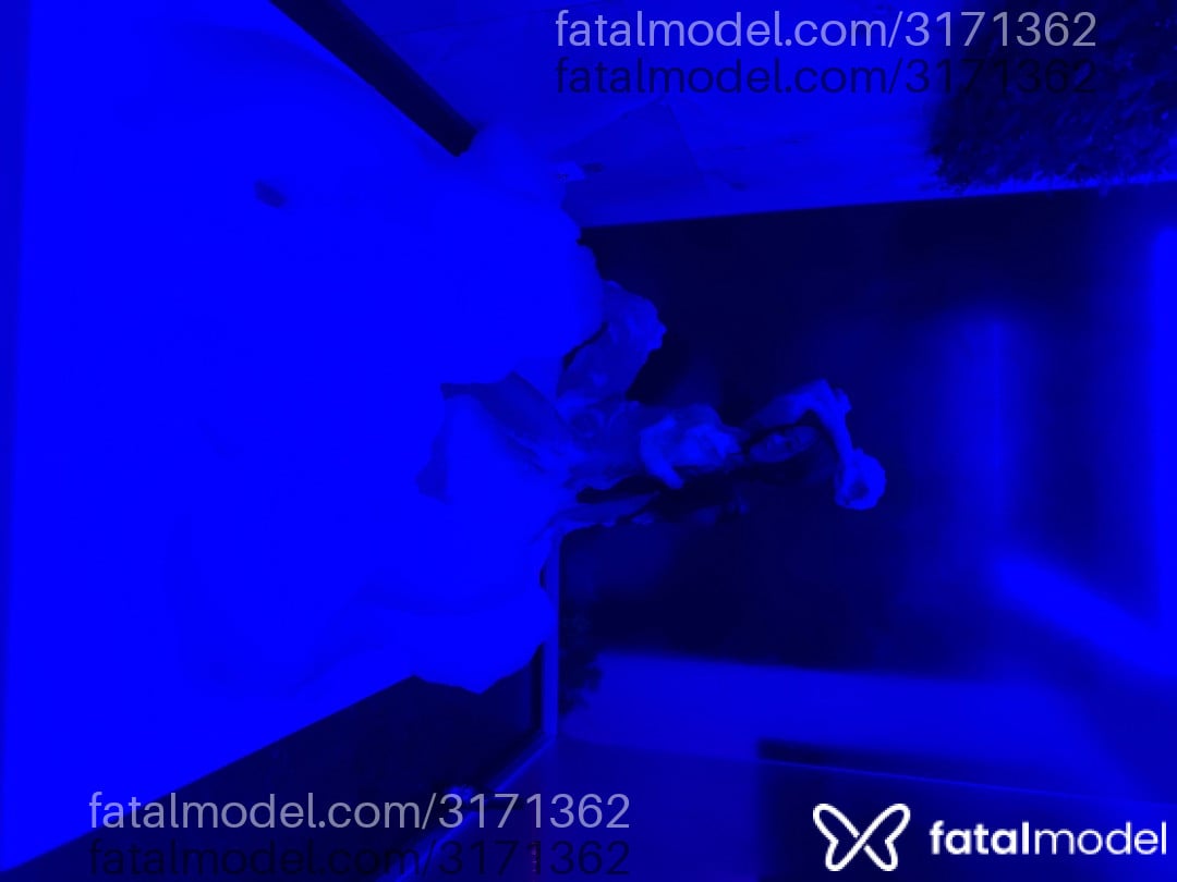 Imagem 6