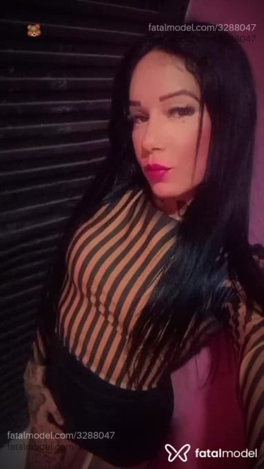 Acompanhante mulher morena (o) de olhos castanhos em Paraguaçu Paulista Acompanhante mulher morena (o) de olhos castanhos em Paraguaçu Paulista - Morena