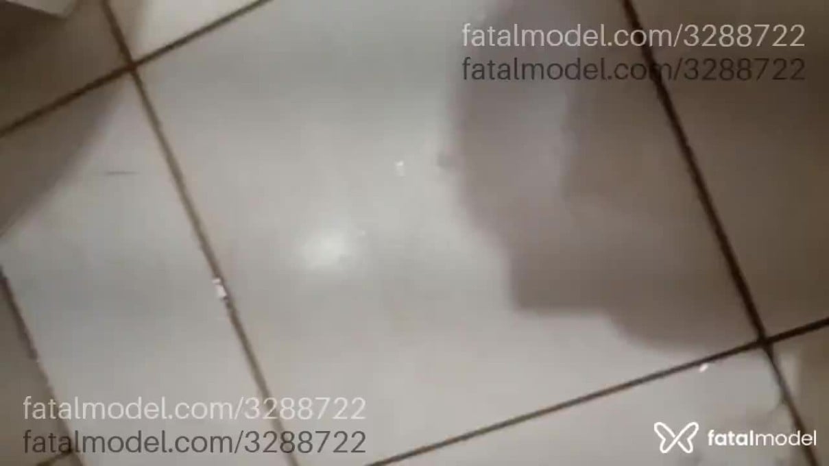 Acompanhante homem com cabelo grisalho de olhos castanhos - Paiva