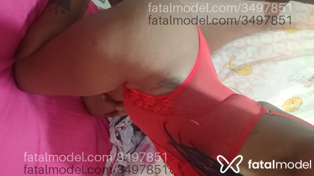 Imagem 3