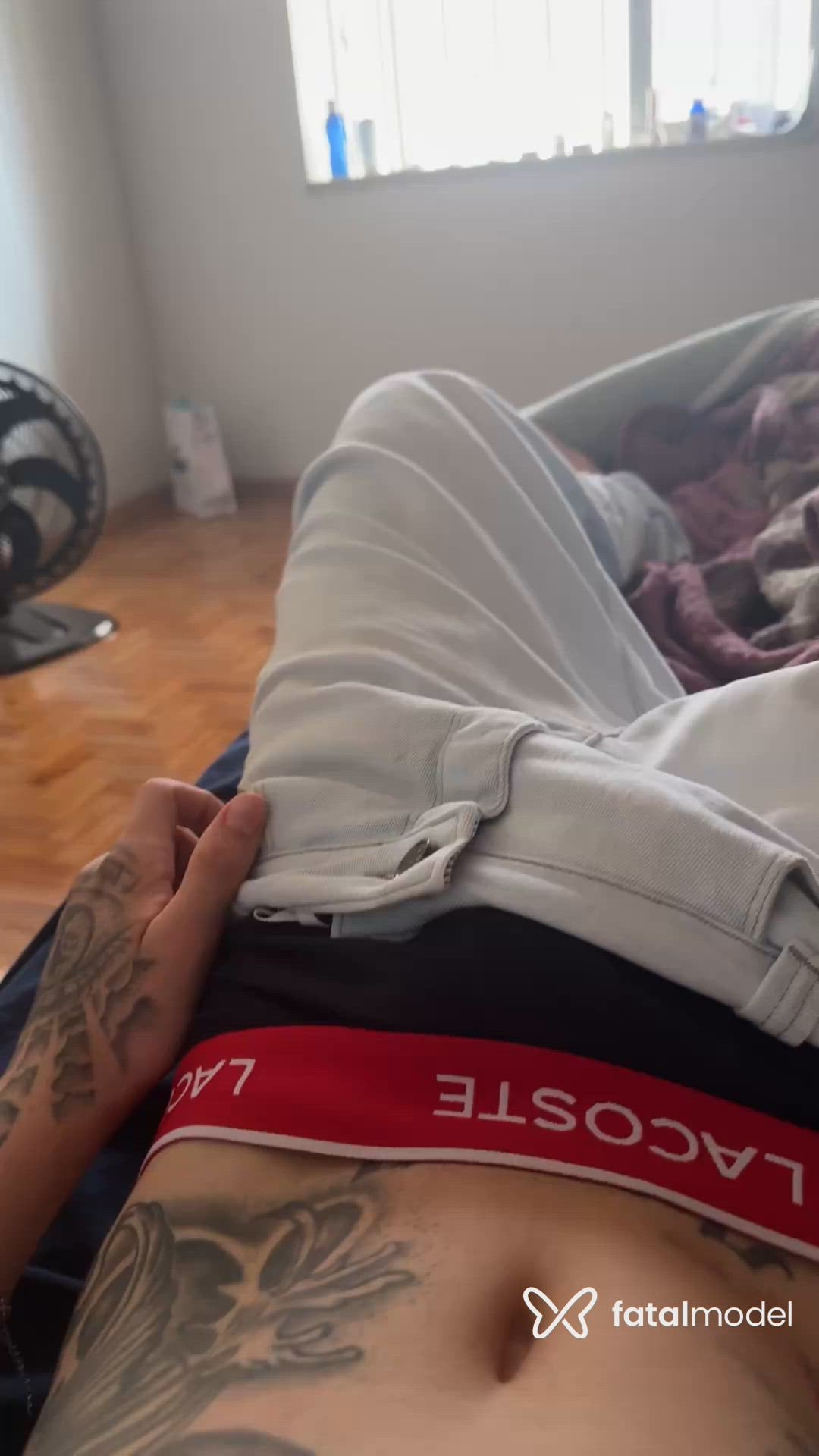 Vídeo 5