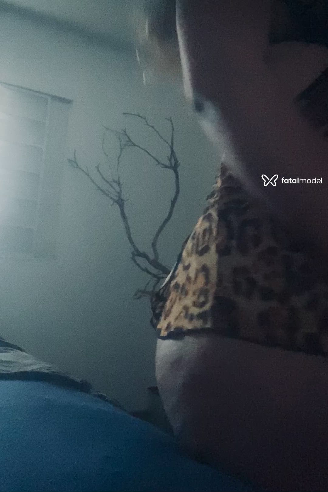 Vídeo 6