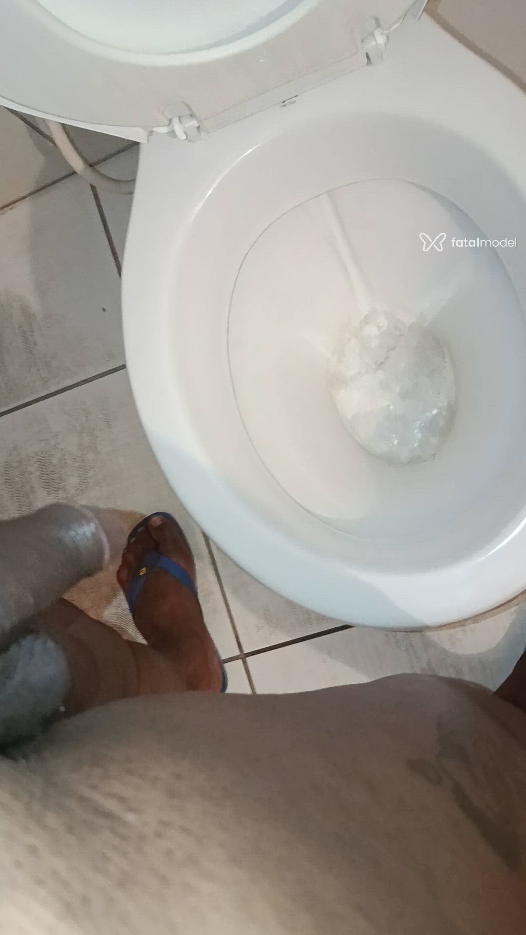 Vídeo 5