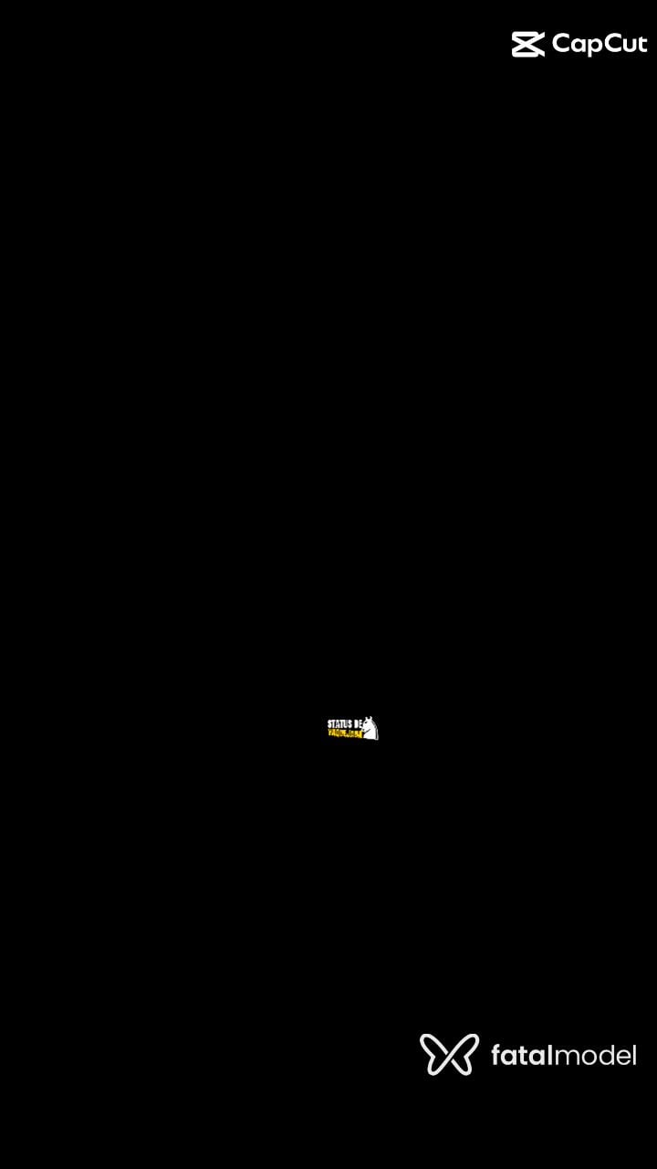 Vídeo 1