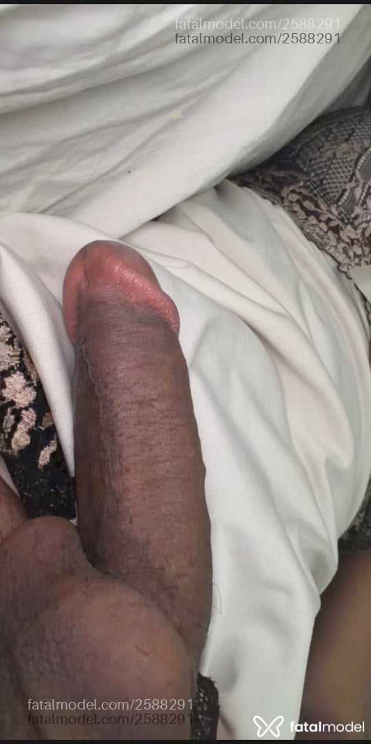 Acompanhante mulher trans morena (o) de olhos pretos - Luninha