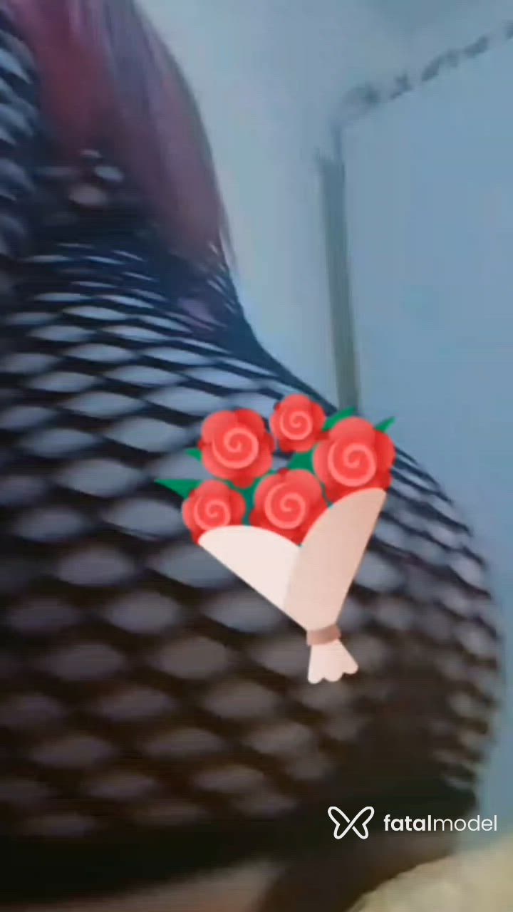 Vídeo 1
