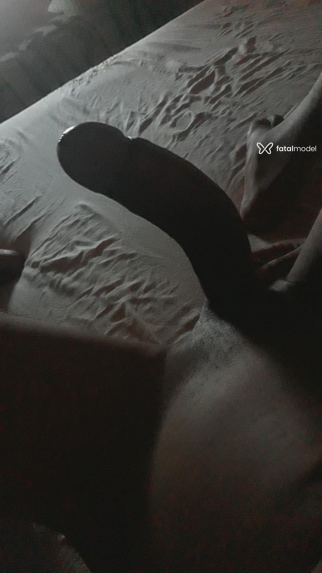 Vídeo 5