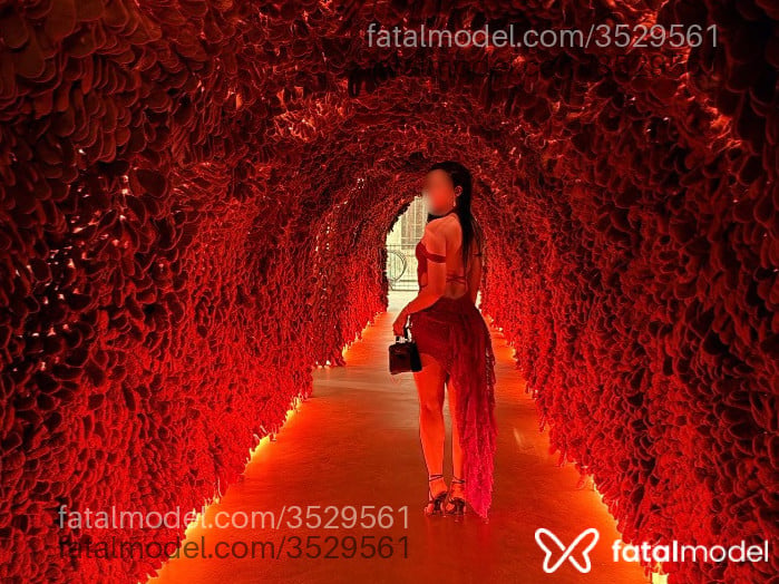 Imagem 6