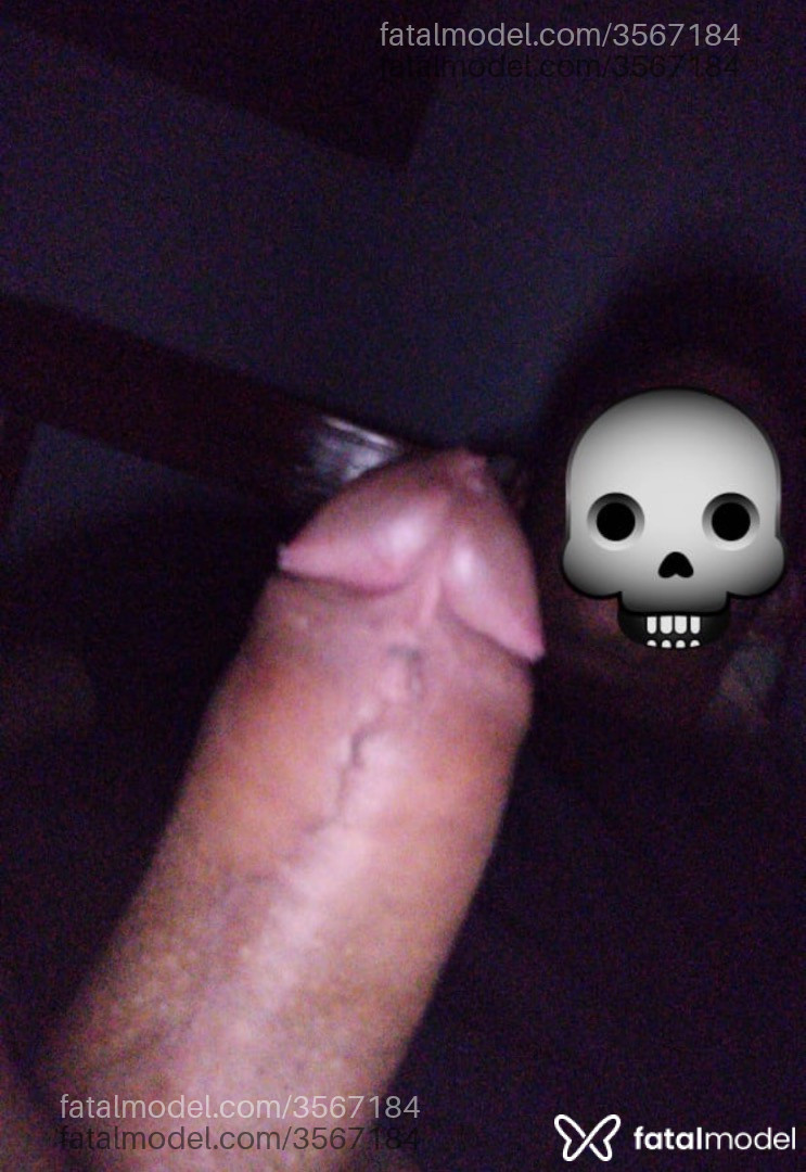 Imagem 3