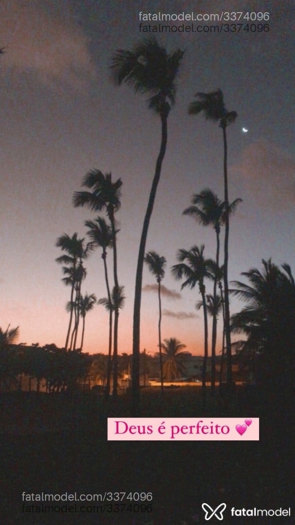 Imagem 11