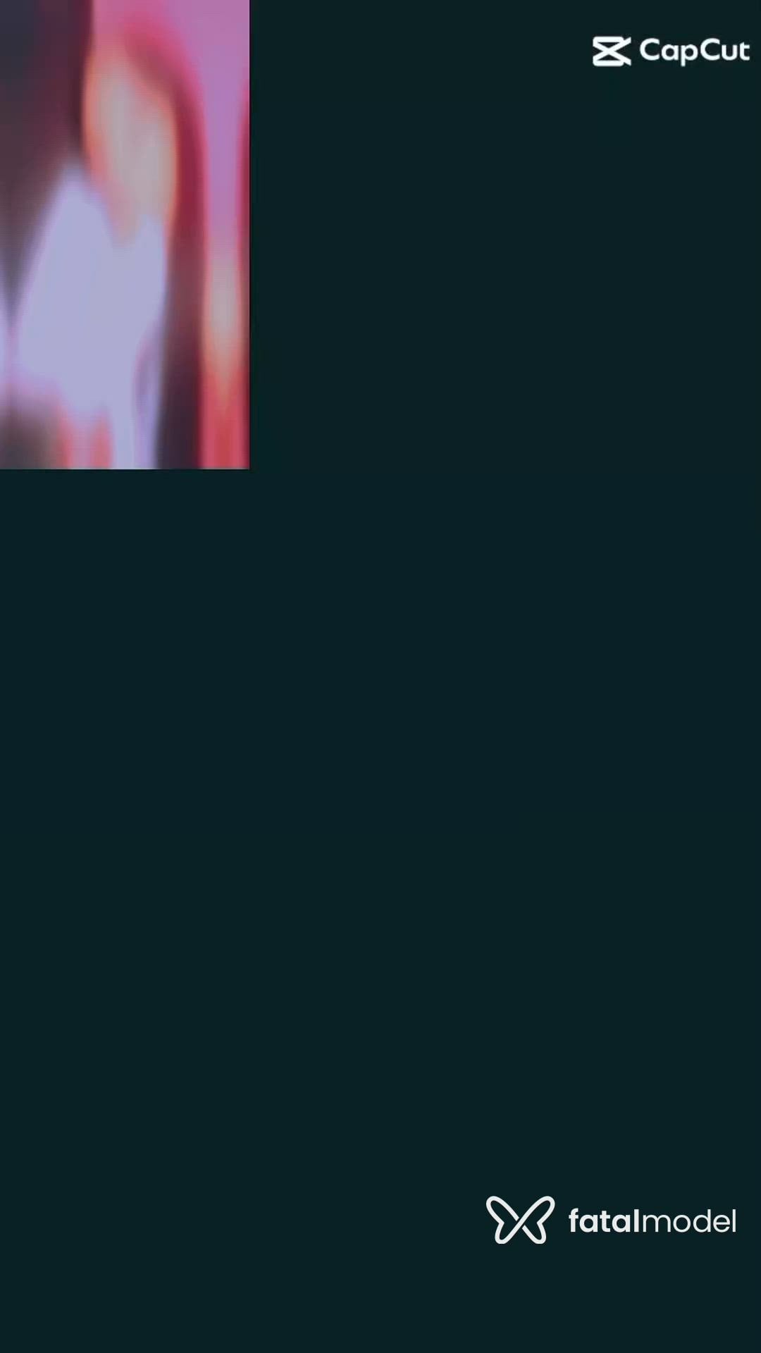 Vídeo 4