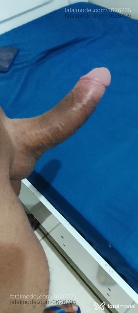 Imagem 5