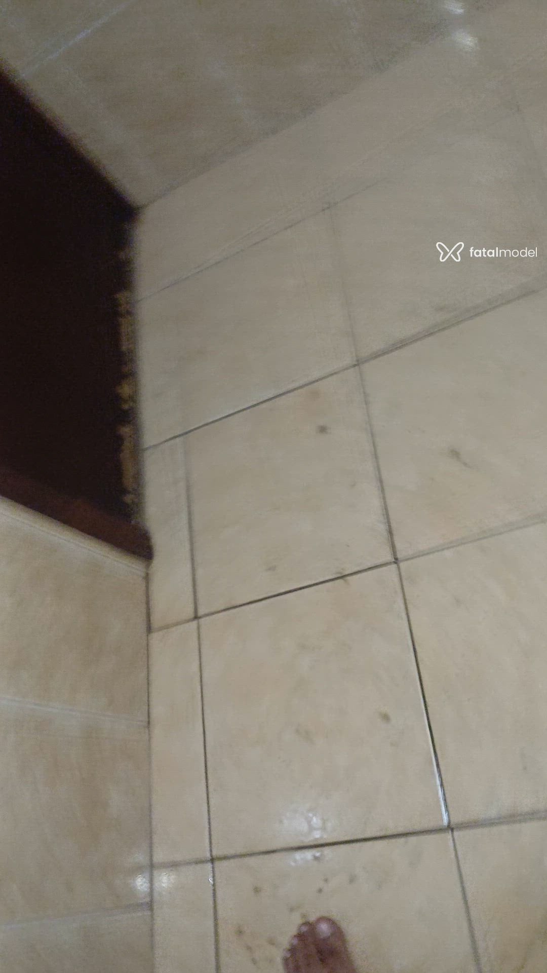 Vídeo 8