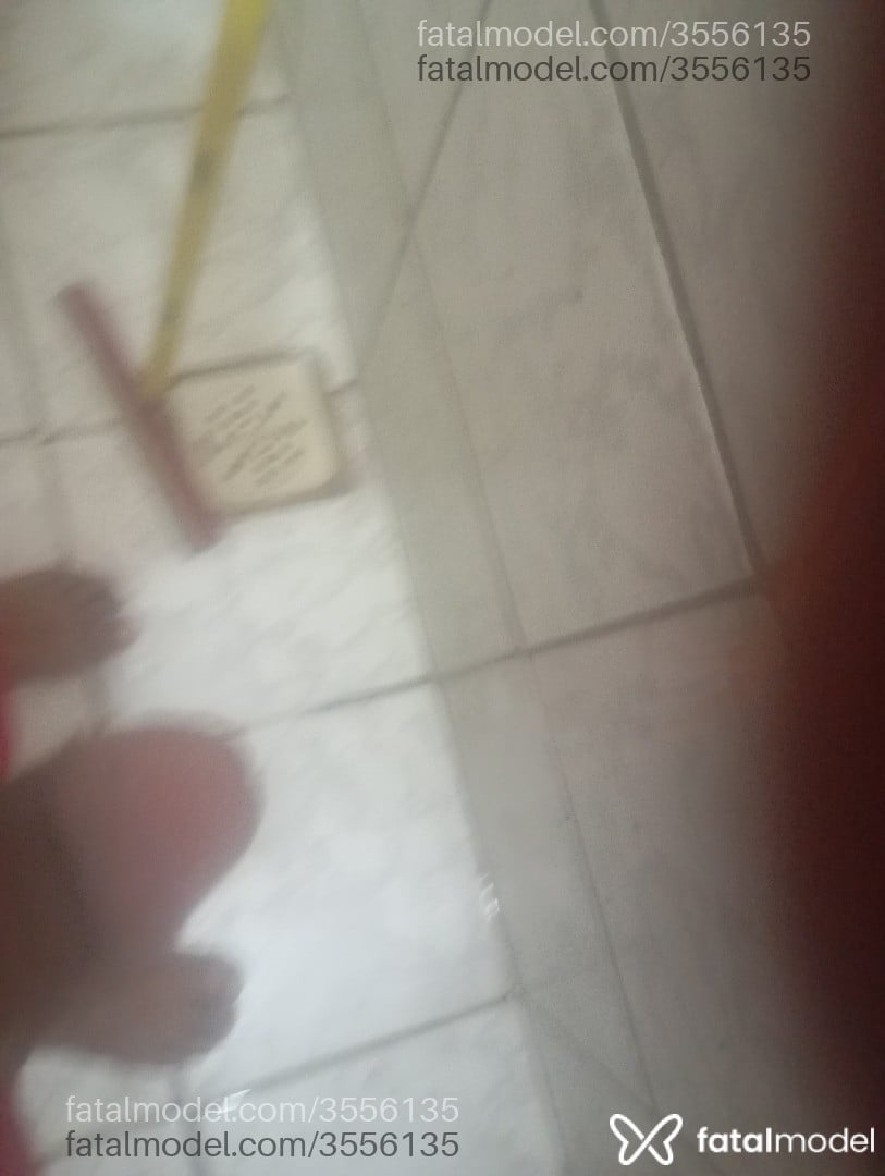 Imagem 3
