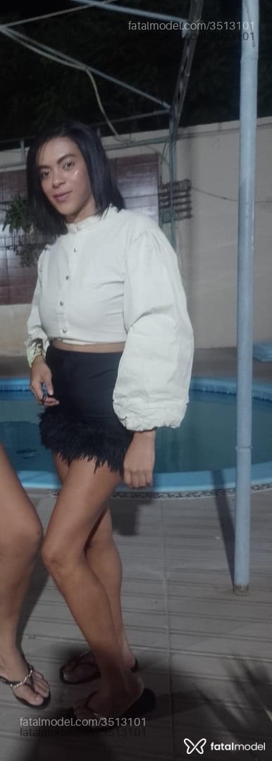 Imagem 3