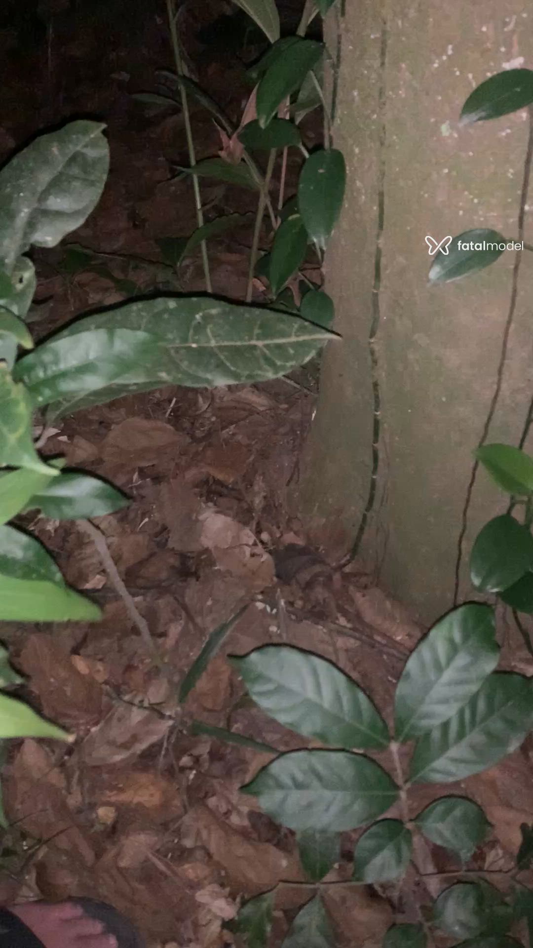 Vídeo 5