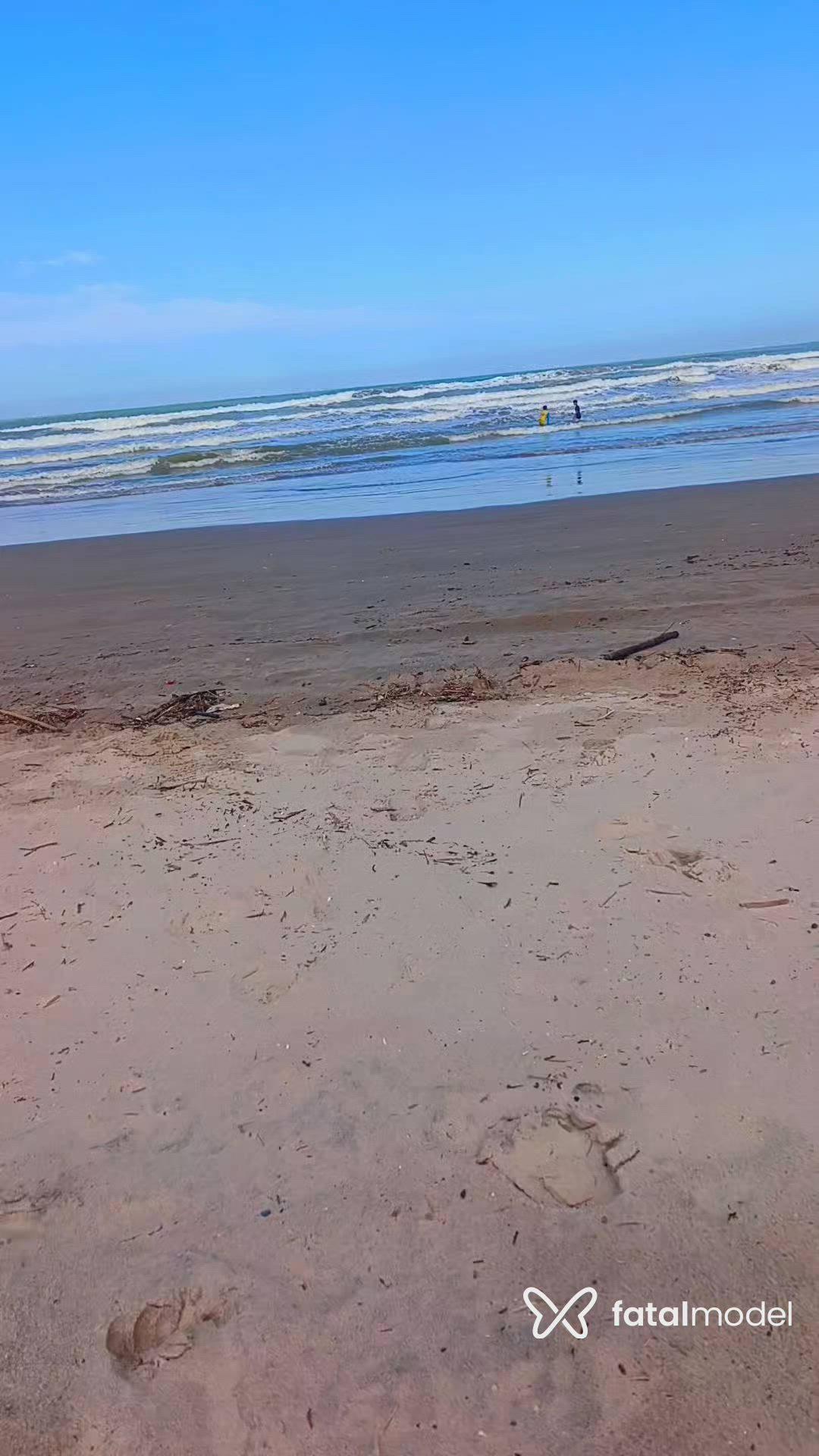 Vídeo 3
