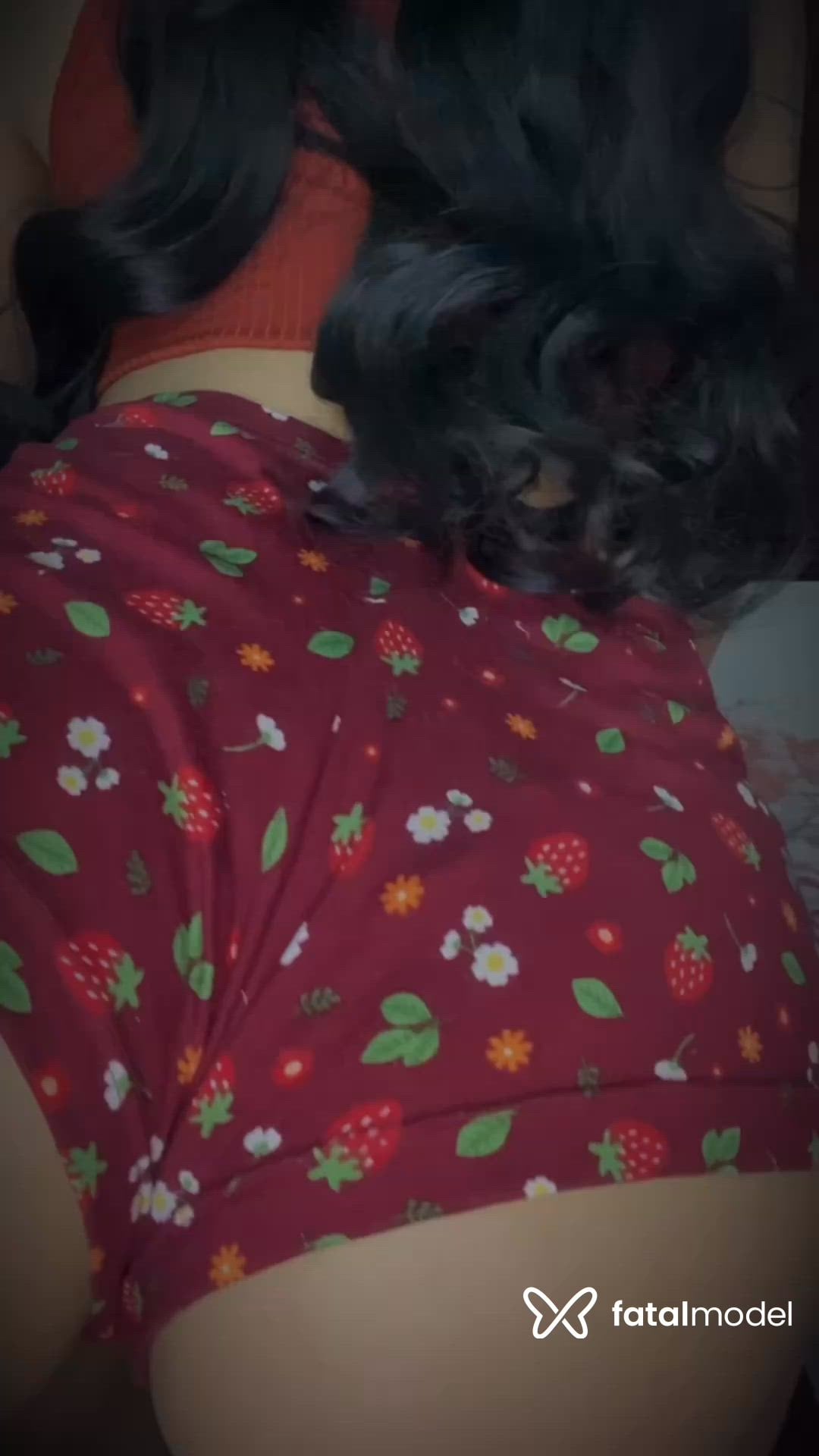 Vídeo 2