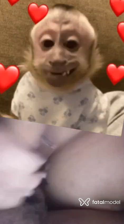 Vídeo 2